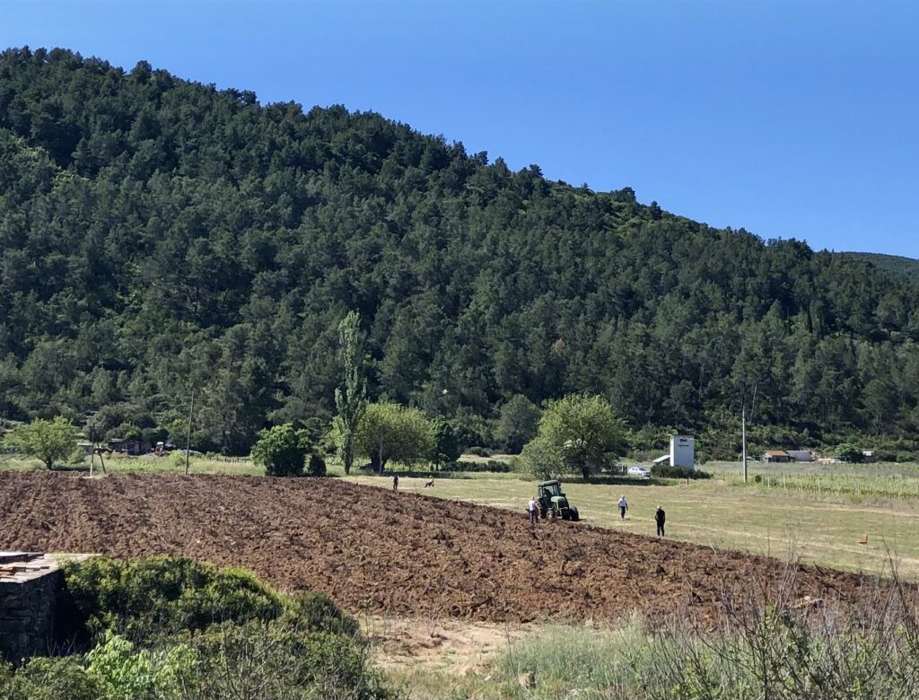 Priprema nasada_Polje Blato_Vinarija Blato 1902