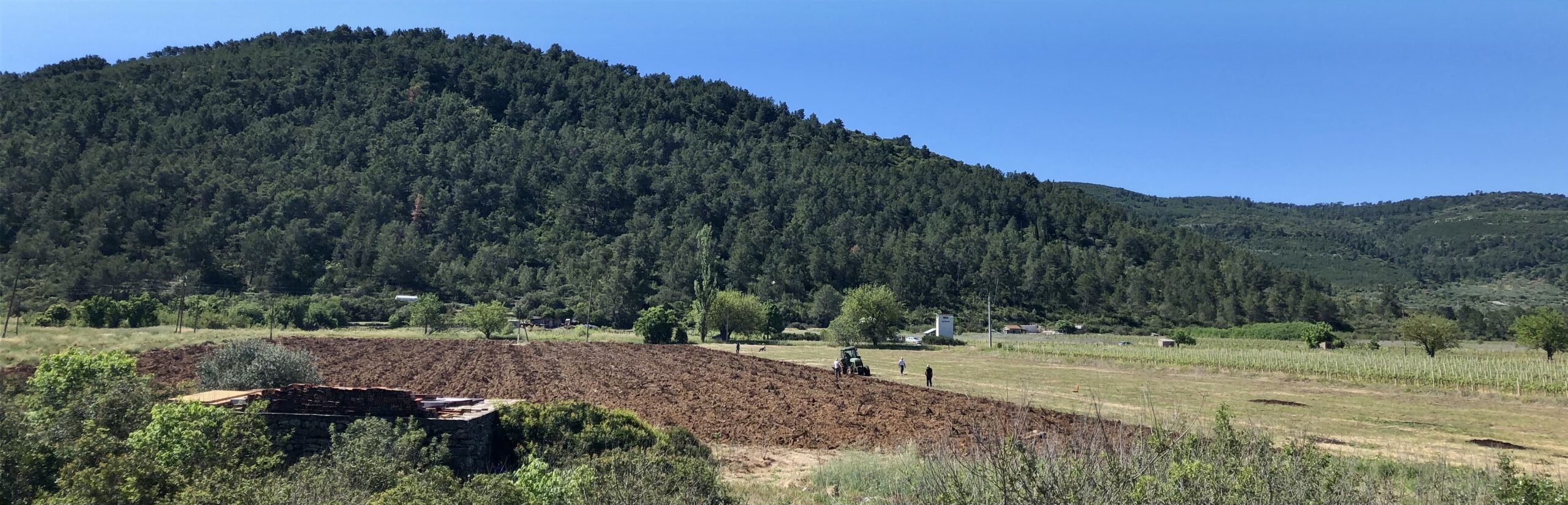 Priprema nasada_Polje Blato_Vinarija Blato 1902