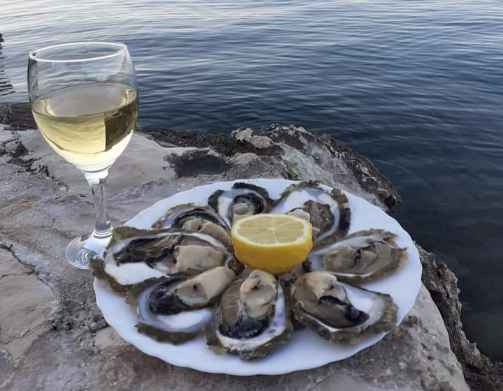 Kamenice_Mali ston_Kušanje vina_Blato_Otok Korčula